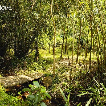 Little Home Resort Vythiri Exterior foto