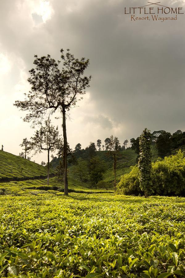 Little Home Resort Vythiri Exterior foto